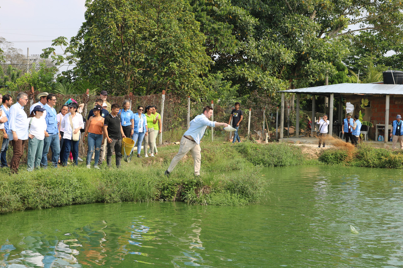 Comite catatumbo El Comité Directivo visita proyectos productivos apoyados por el Fondo en Tibú.