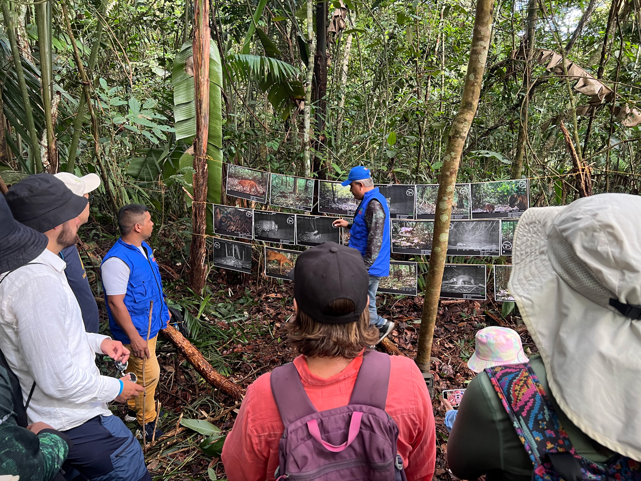 Comite San Jose Visita del Comité Directivo al proyecto Naturalpaz, financiado por el Fondo para la Consolidación de la paz a través del Fondo Multidonante, que apoya la protección del Corredor del Jaguar.